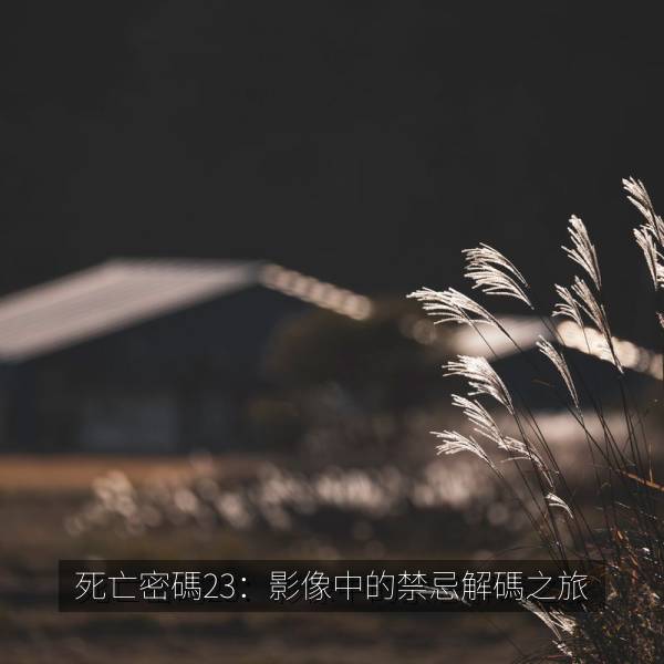 死亡密碼23：影像中的禁忌解碼之旅 剧照