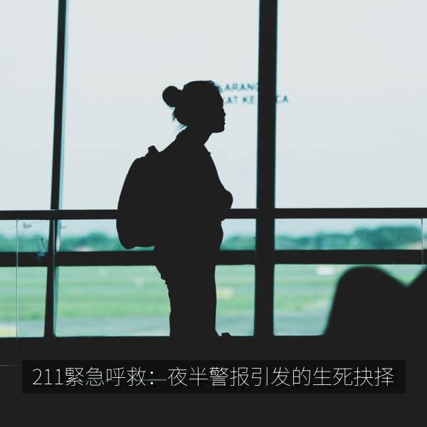 211緊急呼救：夜半警报引发的生死抉择 剧照